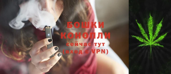 spice Алзамай