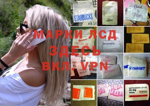 spice Алзамай