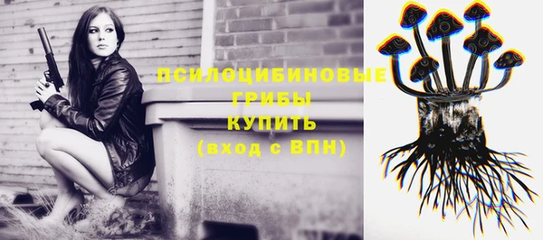 spice Алзамай