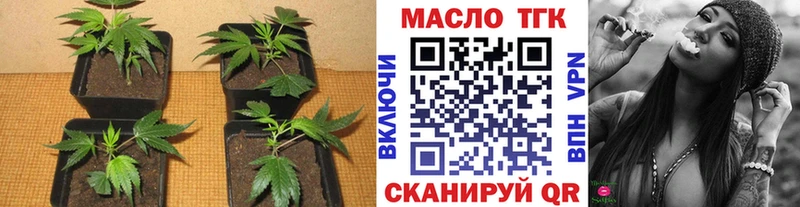 наркотики  мега сайт  Дистиллят ТГК гашишное масло  Нарьян-Мар 