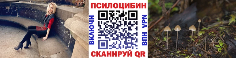 ОМГ ОМГ ссылки  Нарьян-Мар  Галлюциногенные грибы Magic Shrooms 